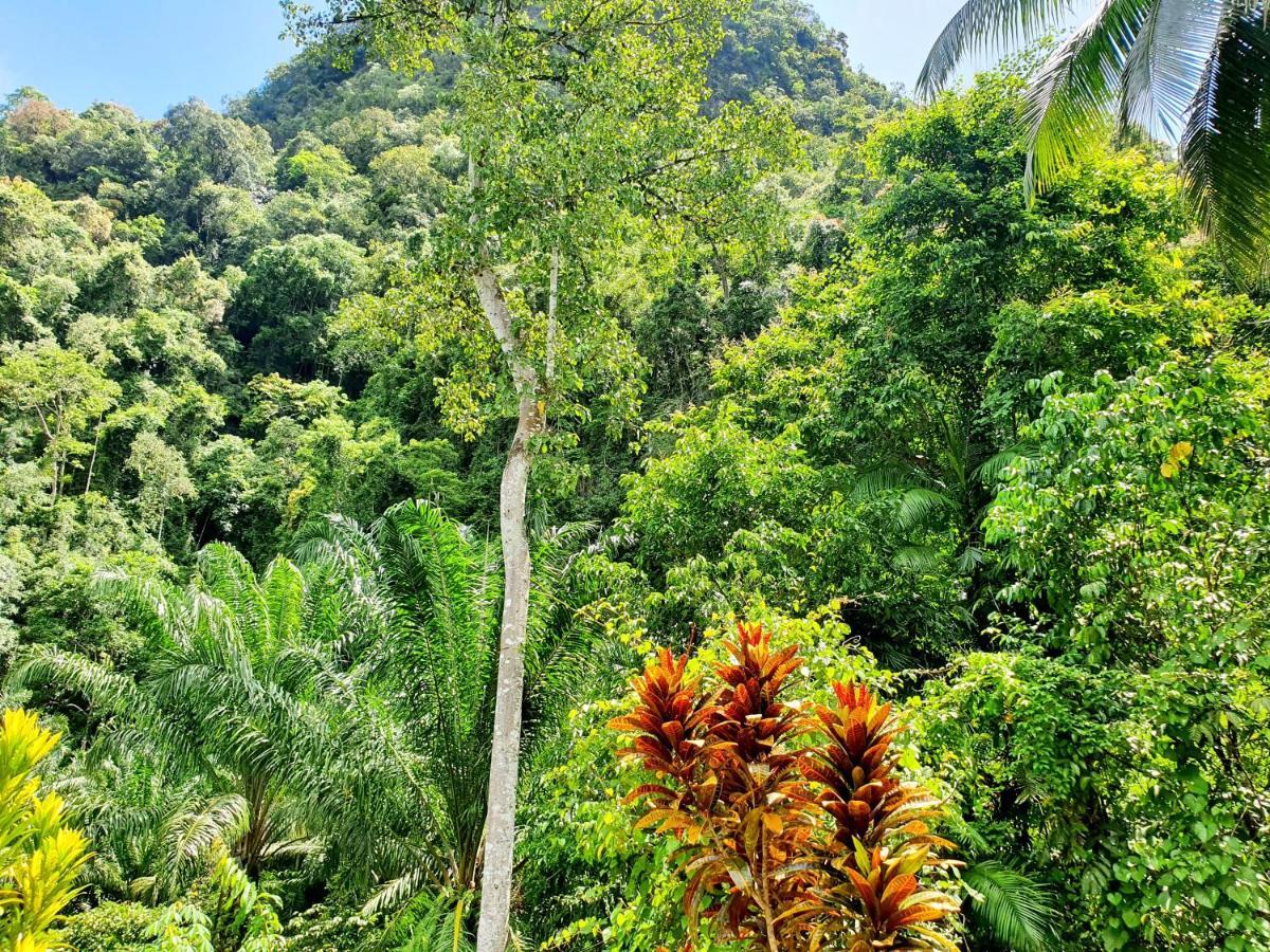 Khao Sok Silver Cliff Resort Khao Sok National Park Cameră foto