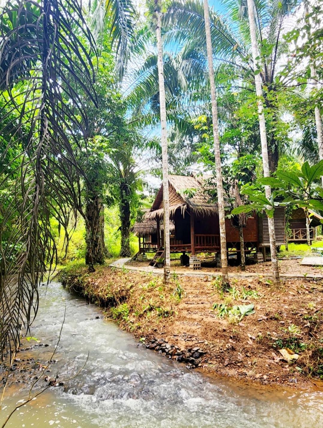 Khao Sok Silver Cliff Resort Khao Sok National Park Cameră foto