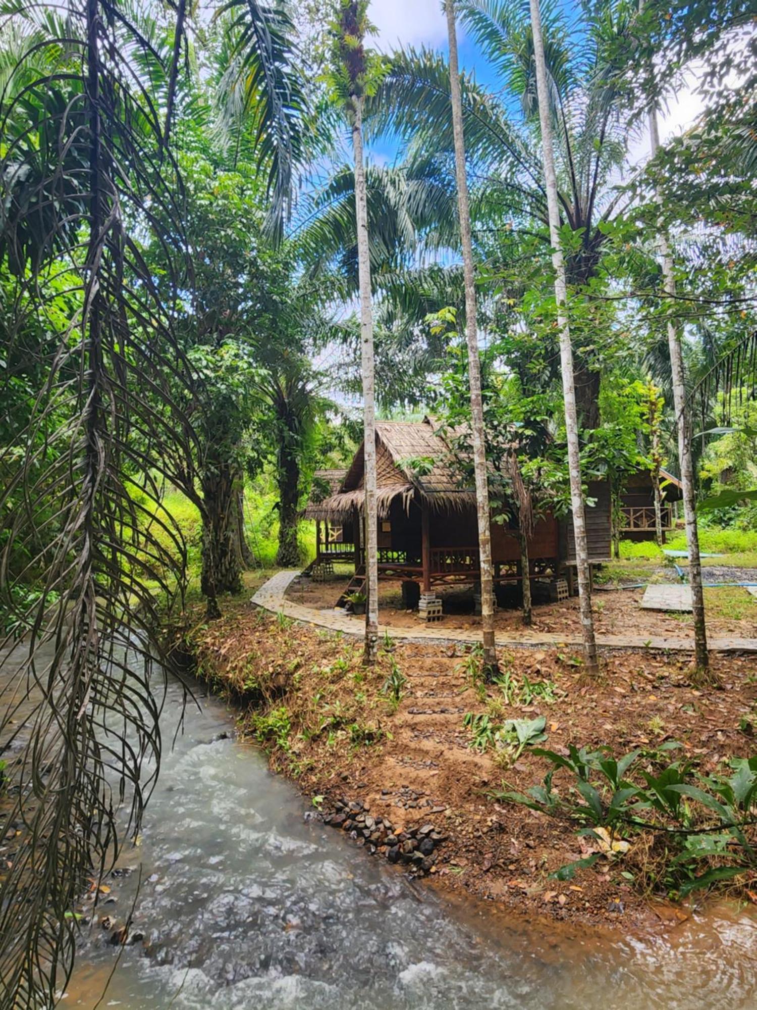 Khao Sok Silver Cliff Resort Khao Sok National Park Cameră foto