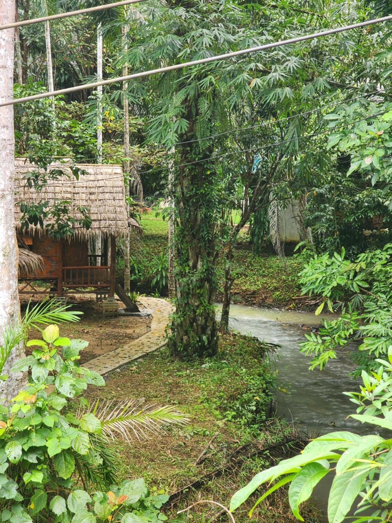 Khao Sok Silver Cliff Resort Khao Sok National Park Cameră foto