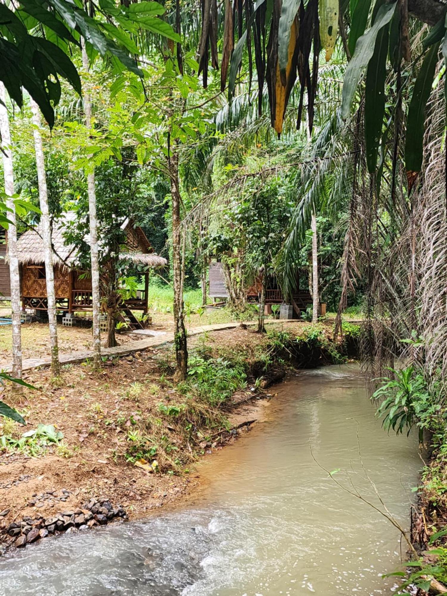 Khao Sok Silver Cliff Resort Khao Sok National Park Cameră foto